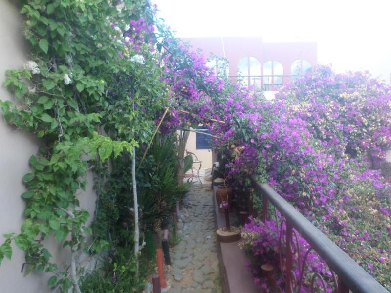 Riad Le Lieu Tiznit Exteriér fotografie